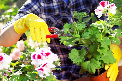 Gardening Manor Park team at work near flower beds