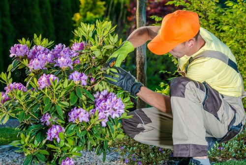 Gardening team beginning work in a Manor Park garden