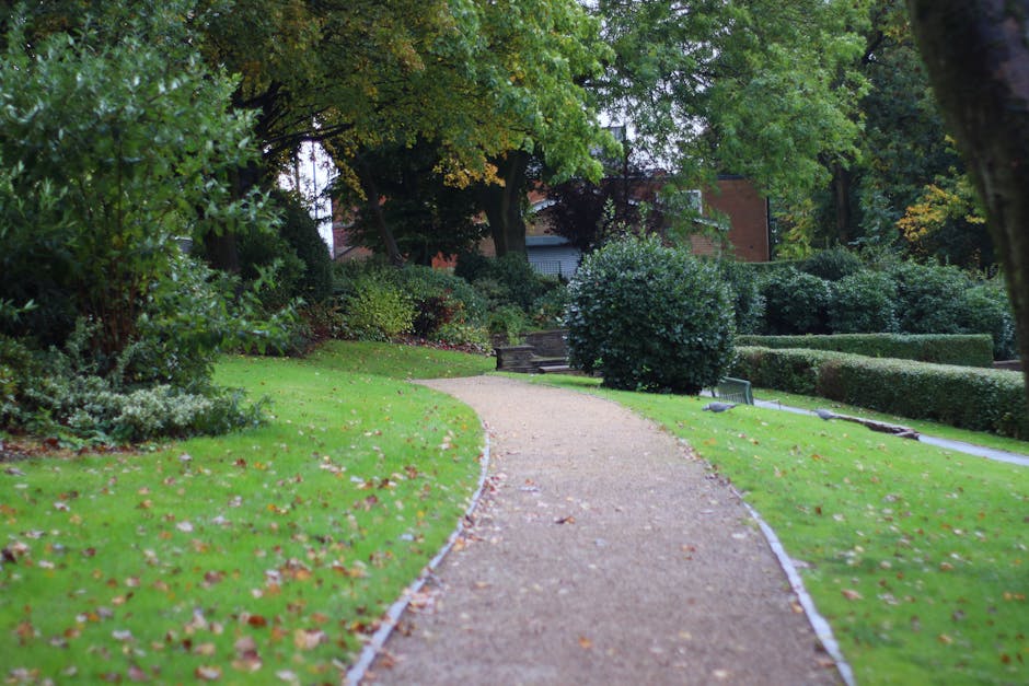 A neatly maintained park border area featuring a well-manicured, lush green lawn in the foreground with even, trimmed grass. Adjacent to the lawn, there is a vibrant garden bed filled with ornamental